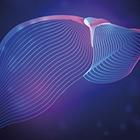 Liver and Transplant Symposium icon image