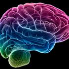 Brain Summit 2026 Symposium Icon Image